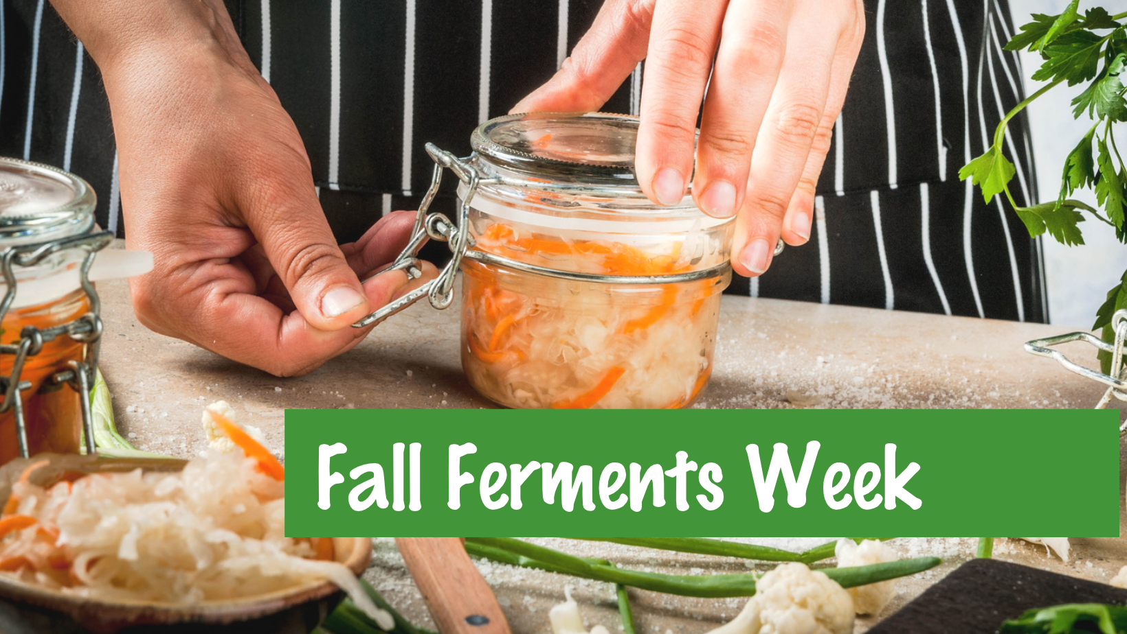 Fall Ferments Week